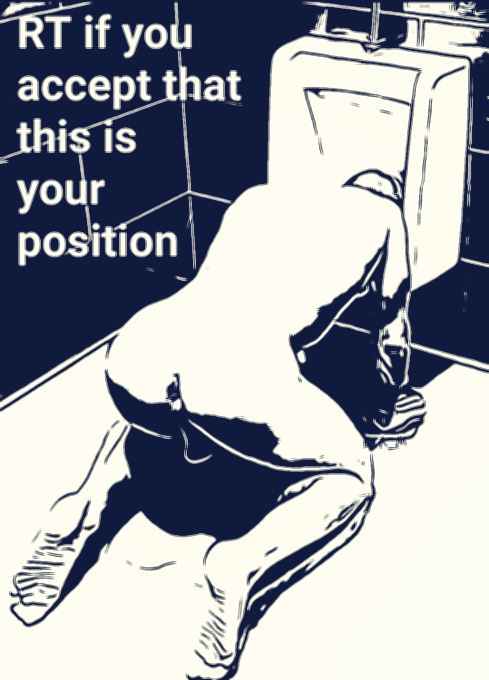 Gay Sub University🍆 tweet media