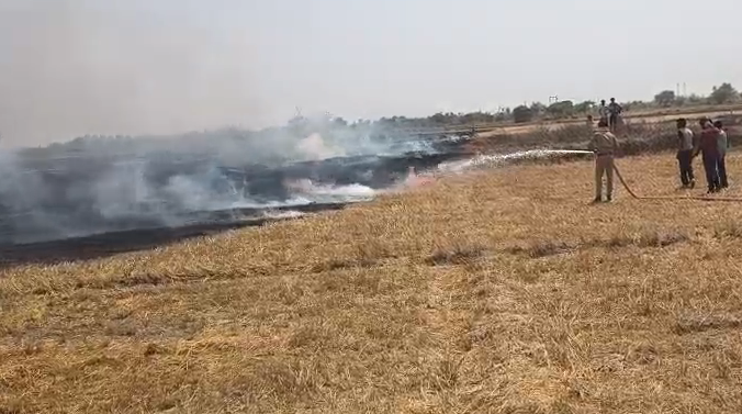 bstvlive's tweet photo. एटा : संदिग्ध हालत में खेत में लगी आग

➡खेत में खड़े कंपास,घास में लगी आग
➡HT लाइन की चिंगारी से आग की आशंका
➡किसानों ने बमुश्किल आग पर काबू पाया
➡निधौली थाना के नगला देवा की घटना
 
#Etah #FireIncident #FarmFire #UPNews @Etahpolice https://t.co/Z777dhFBTC