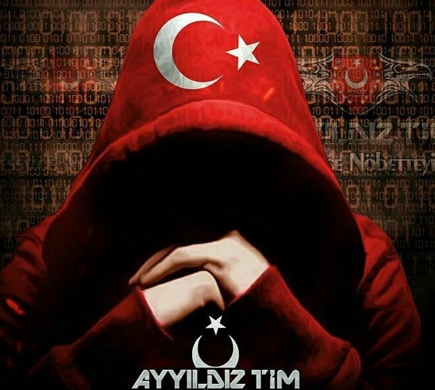 gingi tweet media