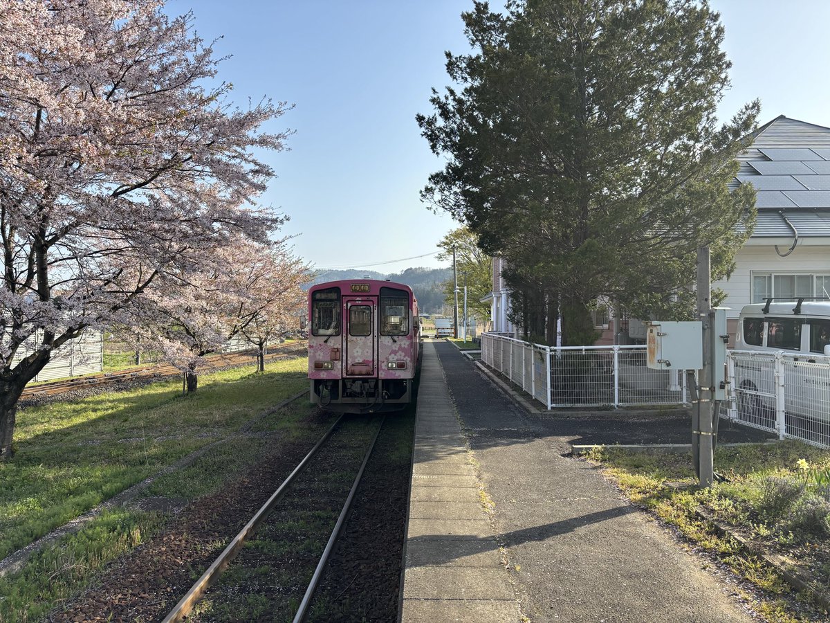 remotetsu's tweet photo. 先週の山形鉄道・フラワー長井線の荒砥駅の桜🌸の写真です。
満開の桜と列車🚃と駅の風景が青空に映えます。

#山形鉄道 #フラワー長井線 #荒砥駅 #桜 #リモ鉄 https://t.co/mEZvIka5r5