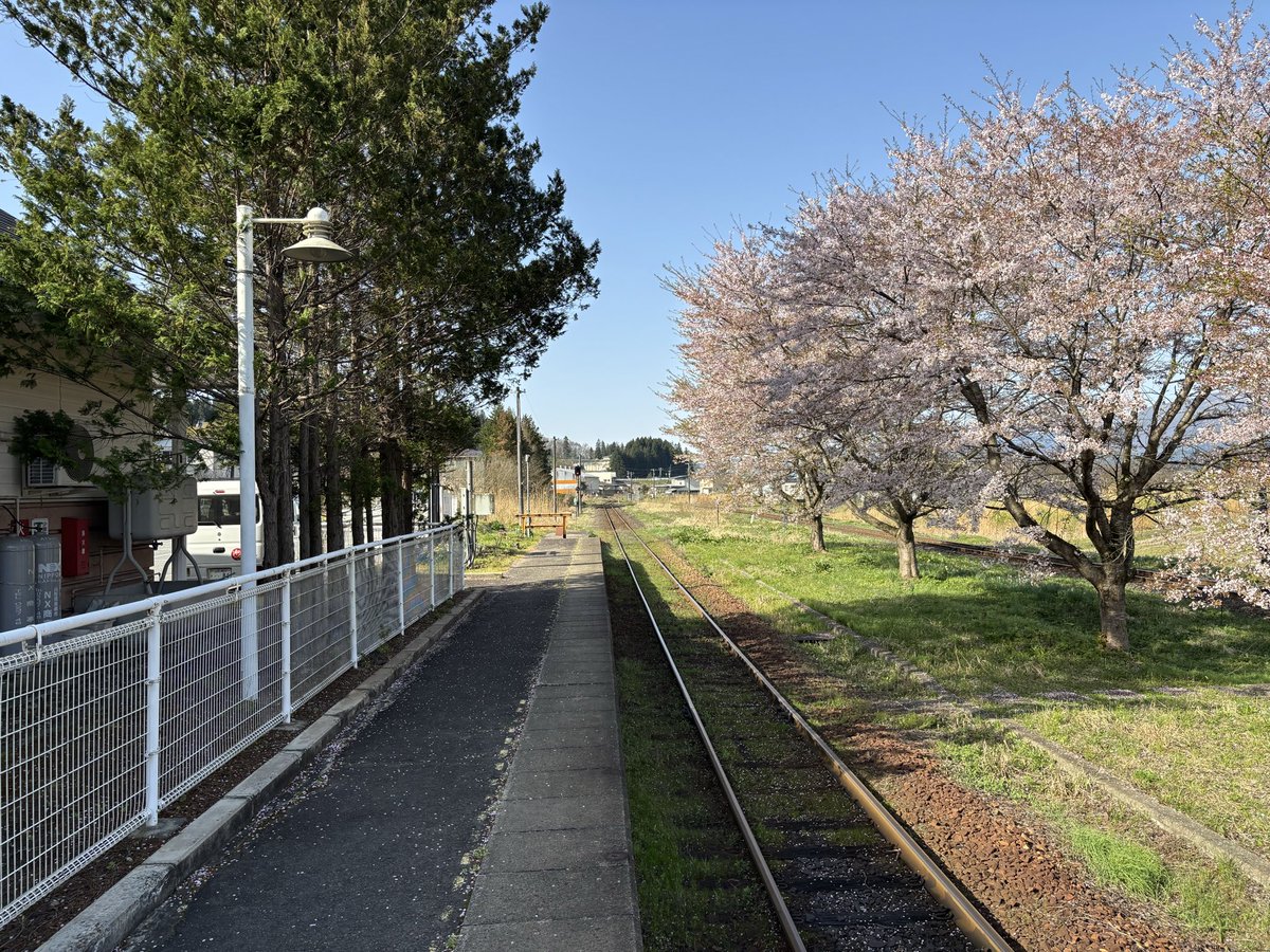 先週の山形鉄道・フラワー長井線の荒砥駅の桜🌸の写真です。
満開の桜と列車🚃と駅の風景が青空に映えます。

#山形鉄道 #フラワー長井線 #荒砥駅 #桜 #リモ鉄
