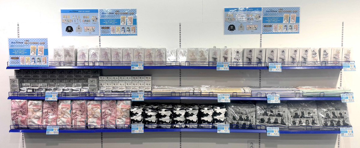 animate 서울홍대점 tweet media