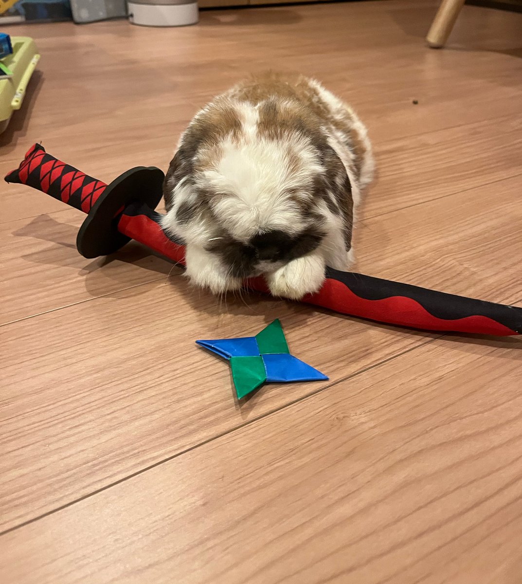 おもち tweet media