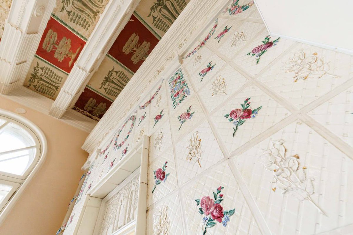 Дикий Петербург tweet media