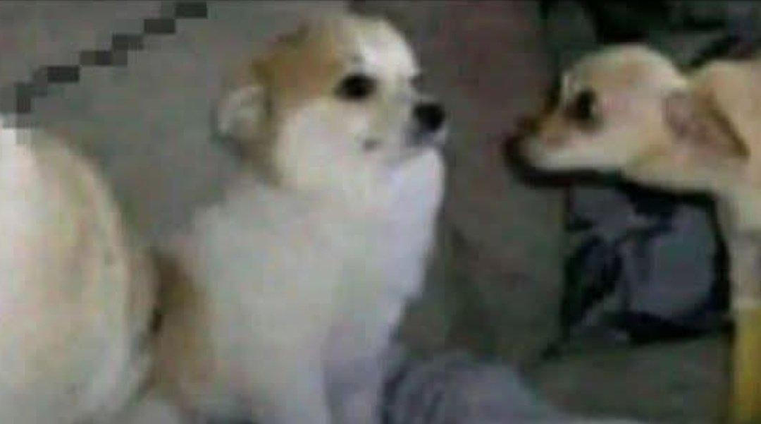 OSAS🦅 tweet media