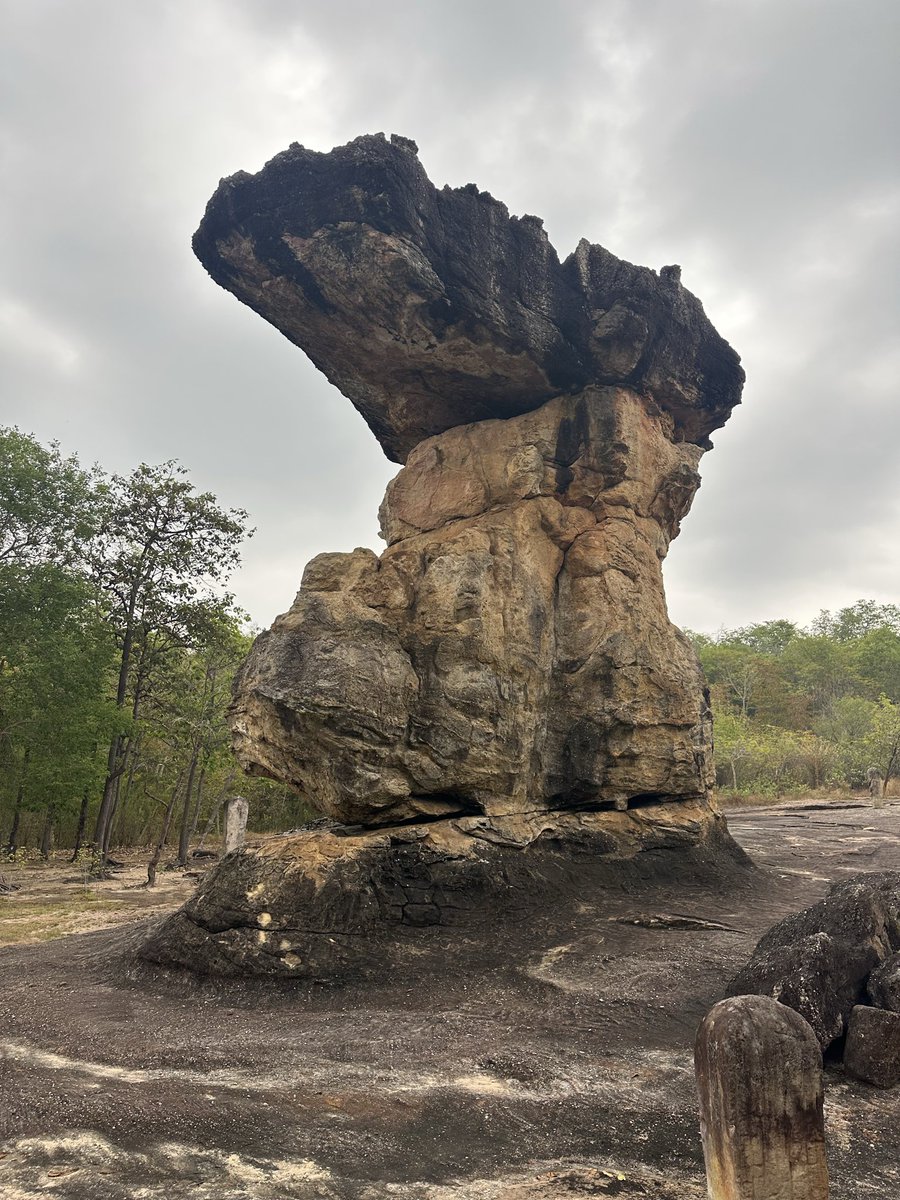 食いしん坊キング🏯🇹🇭🇯🇵 tweet media