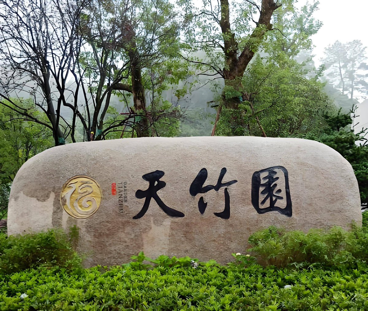 SamuzielA's tweet image. Just had the best weekend escape to the countryside! Woke up to bird songs, hiked through blooming trails, and sipped coffee with a mountain view. Perfect reset from city chaos  #WeekendGetaway #NatureLovers