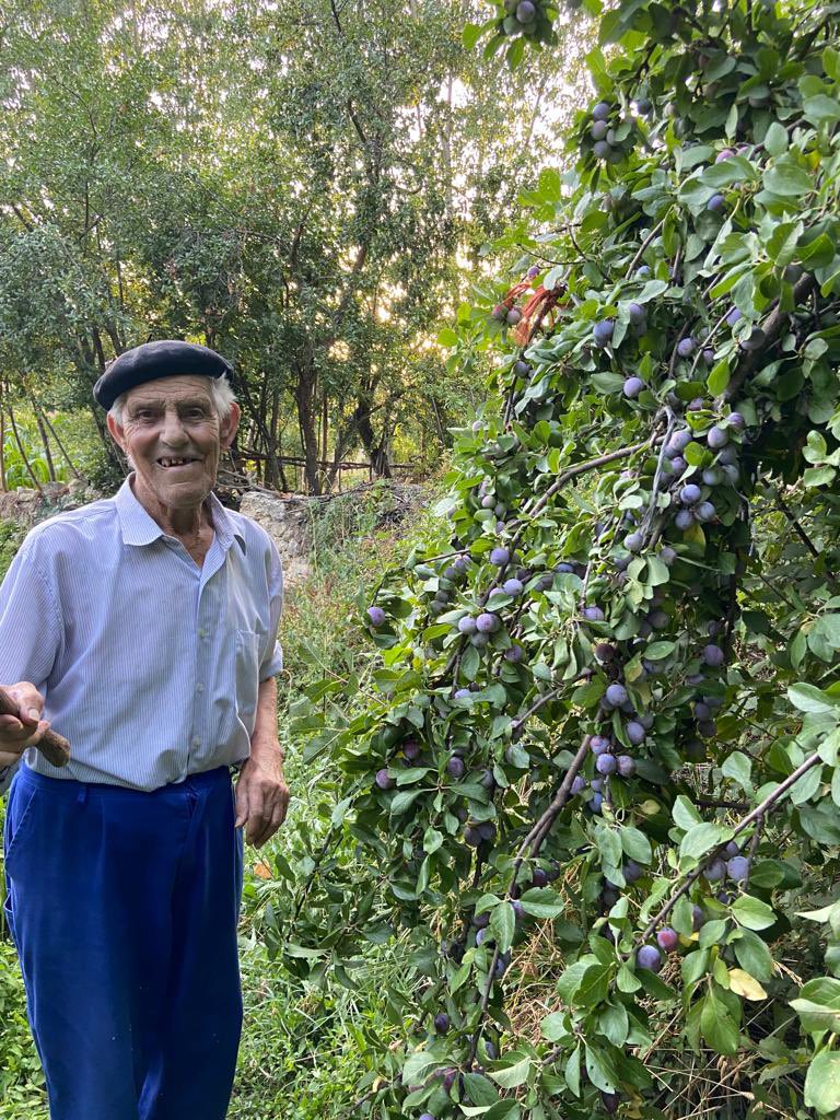 Natt ⚡ tweet media