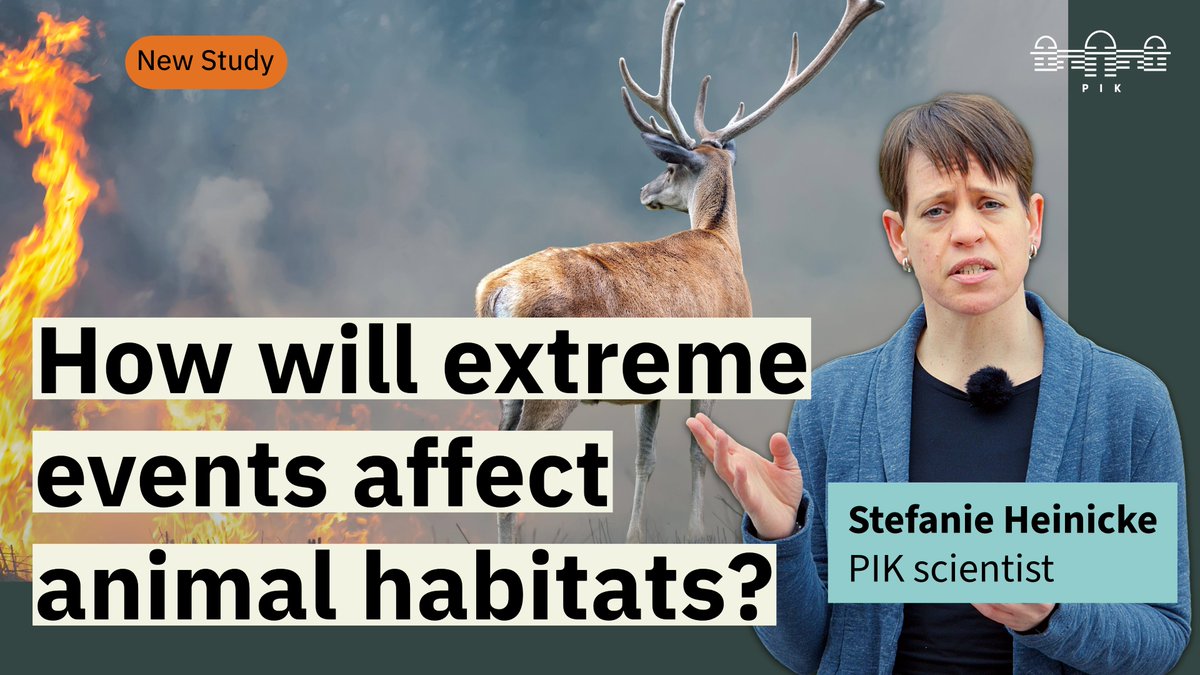 Potsdam Institute for Climate Impact Research PIK tweet media