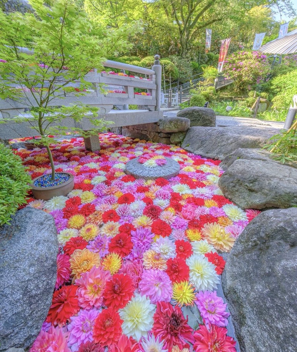 <a href="/shanhuchun70837/">旅人</a> そうですね😸👍