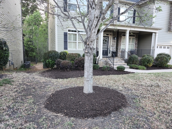 palmettolawn's tweet image. Fresh mulch makes all the difference this time of year. It keeps moisture in, weeds down, and gives your beds that clean look for spring. If your landscaping needs some attention, give us a call! #SpringCleanup #MulchingServices #GreenvilleSC #LawnCare #CurbAppeal #UpstateSC #...