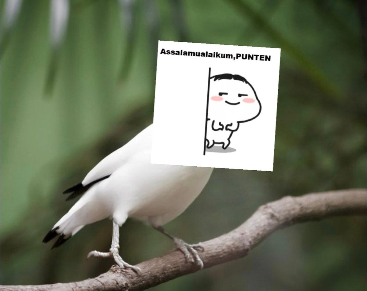 VINCENT tweet media