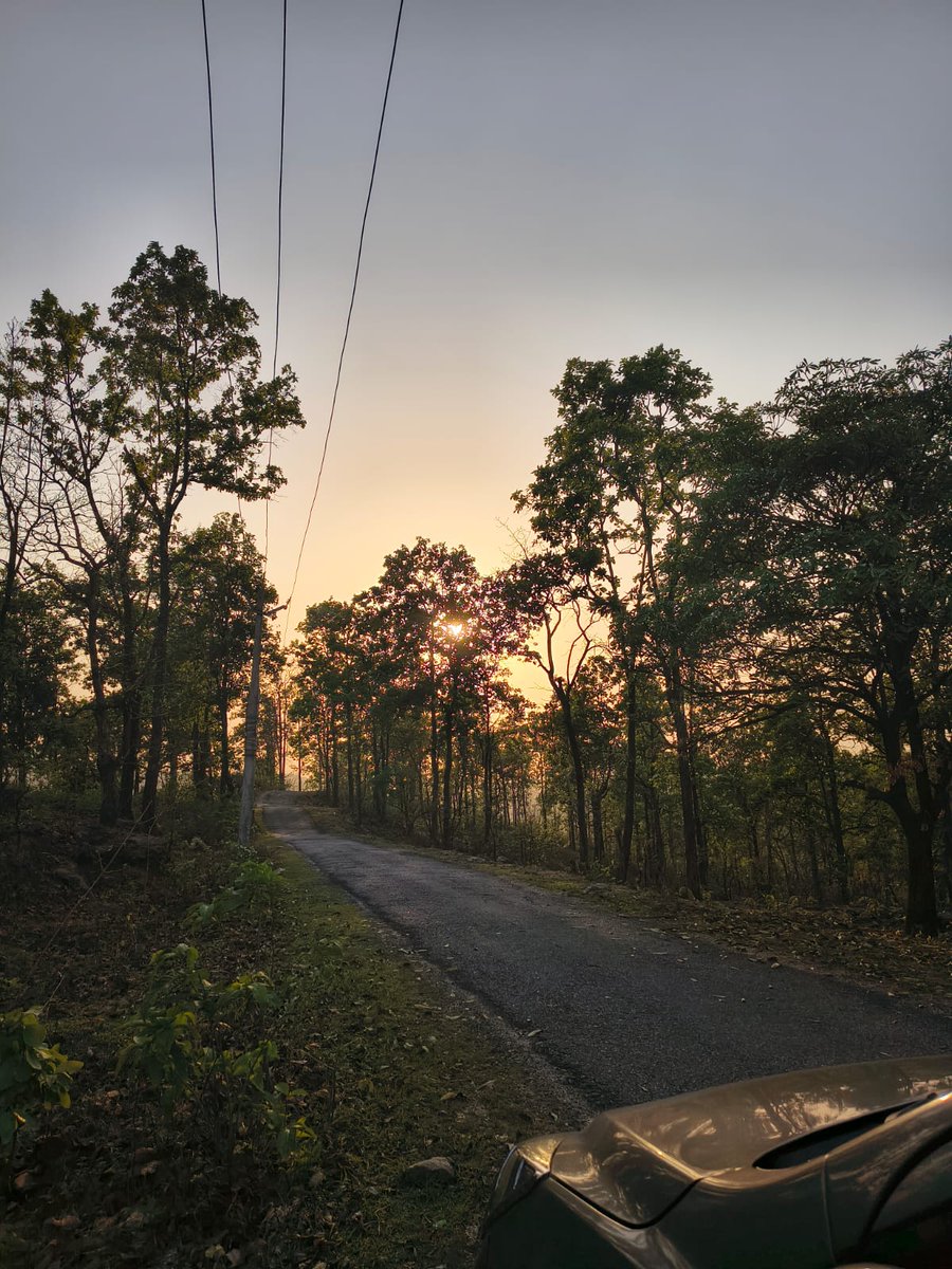 Sushmap83780027's tweet image. Beauty of my village 🌿🍃
This is the beauty of nature and In our.we are always connected with nature.#villagelife #NatureScenery #beauty