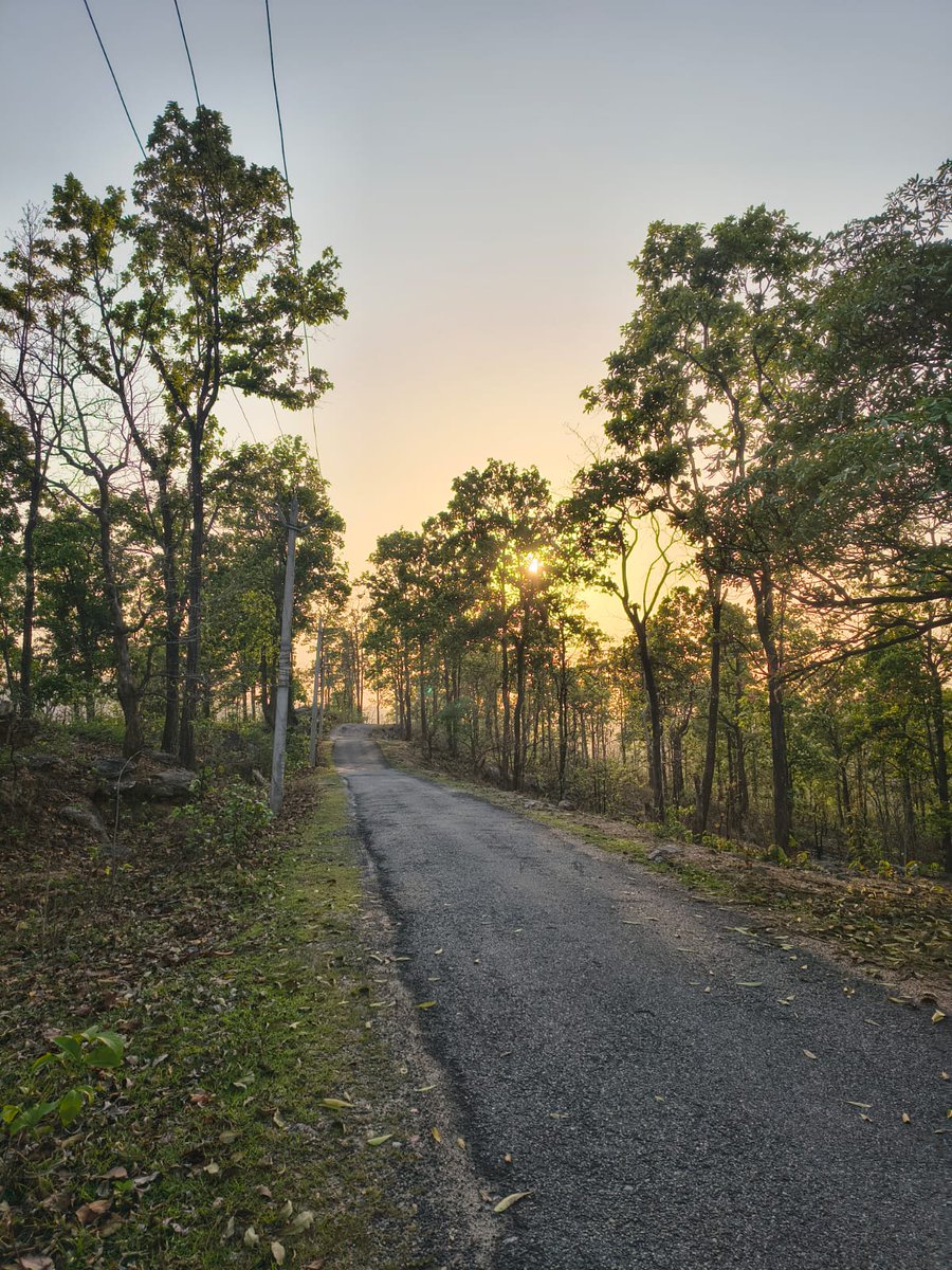 Sushmap83780027's tweet image. Beauty of my village 🌿🍃
This is the beauty of nature and In our.we are always connected with nature.#villagelife #NatureScenery #beauty