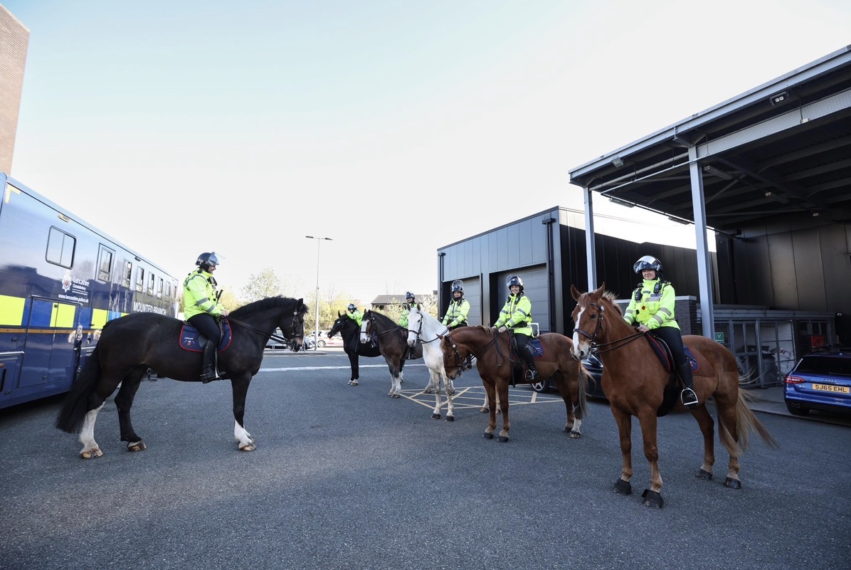 LancsPolMounted's tweet image. Year of the Horse 🤝 Year of the Football 
While the world prepares for the World Cup 🏆  Abbeystead, Finnigan, Hutton, Lawson, Rufford &amp;amp; Wiswell were putting in a shift at Burnley v Man City !  No transfers, just horsepower &amp;amp; teamwork  #YearOfTheHorse #PitchSidePatrol
