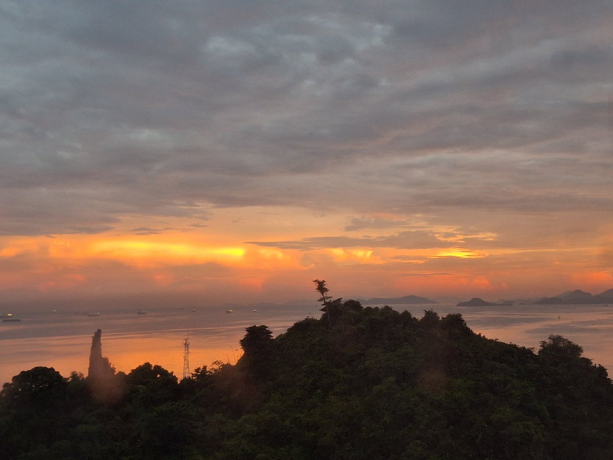 nayeong kim tweet media