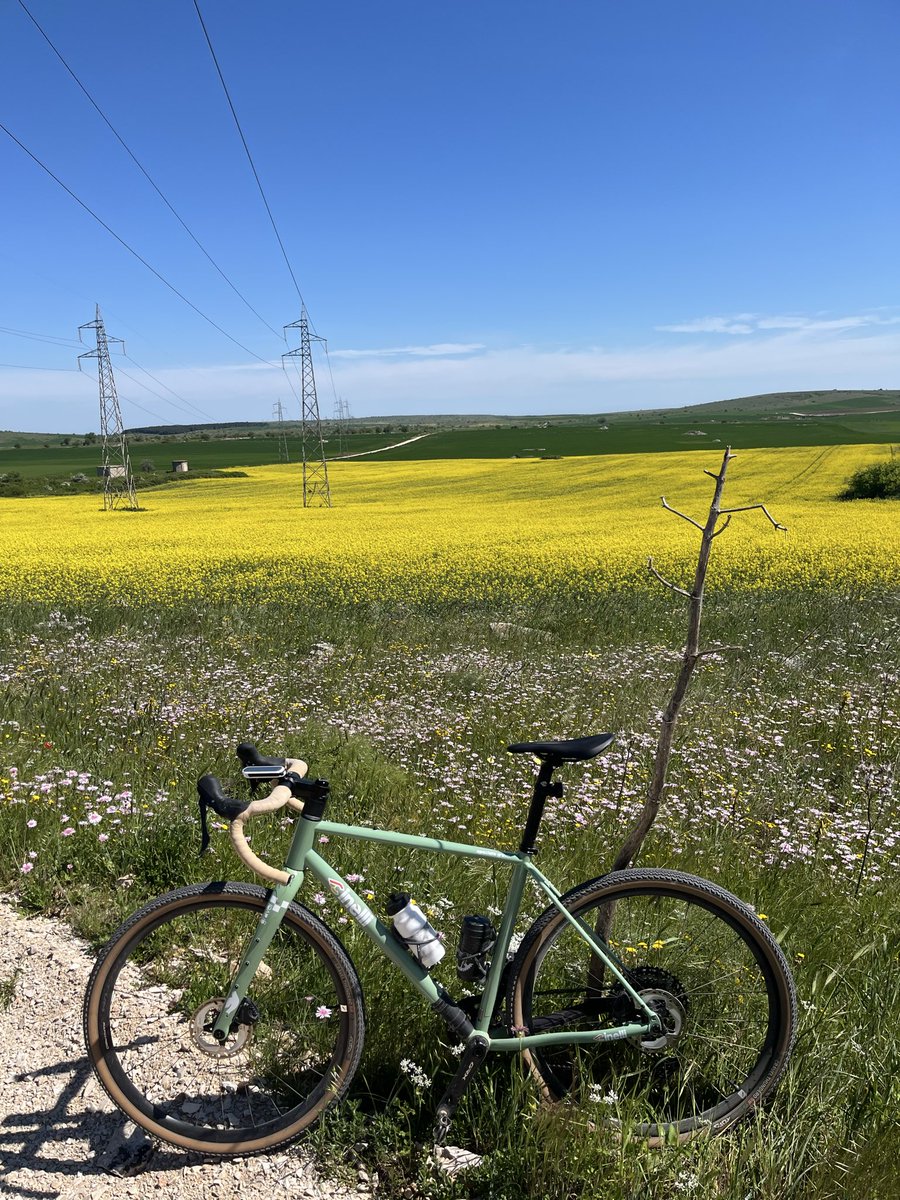 bored to death 🏍️🏂🚲 tweet media