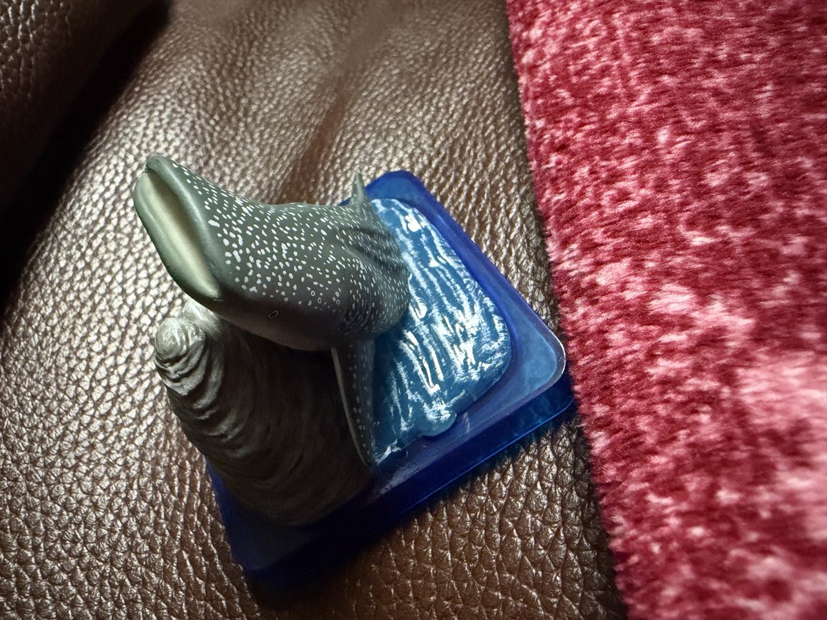 おとこうめ tweet media