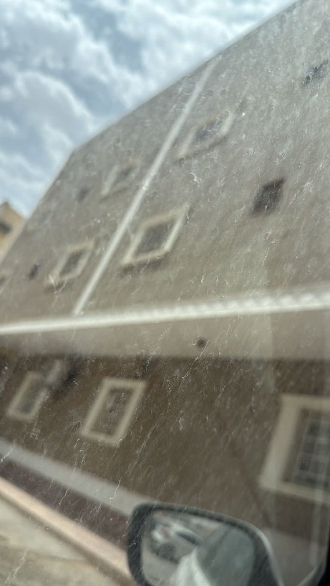 Alison Phillips tweet media