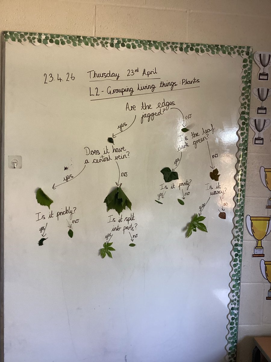 Wellesbourne Primary Year 4 tweet media