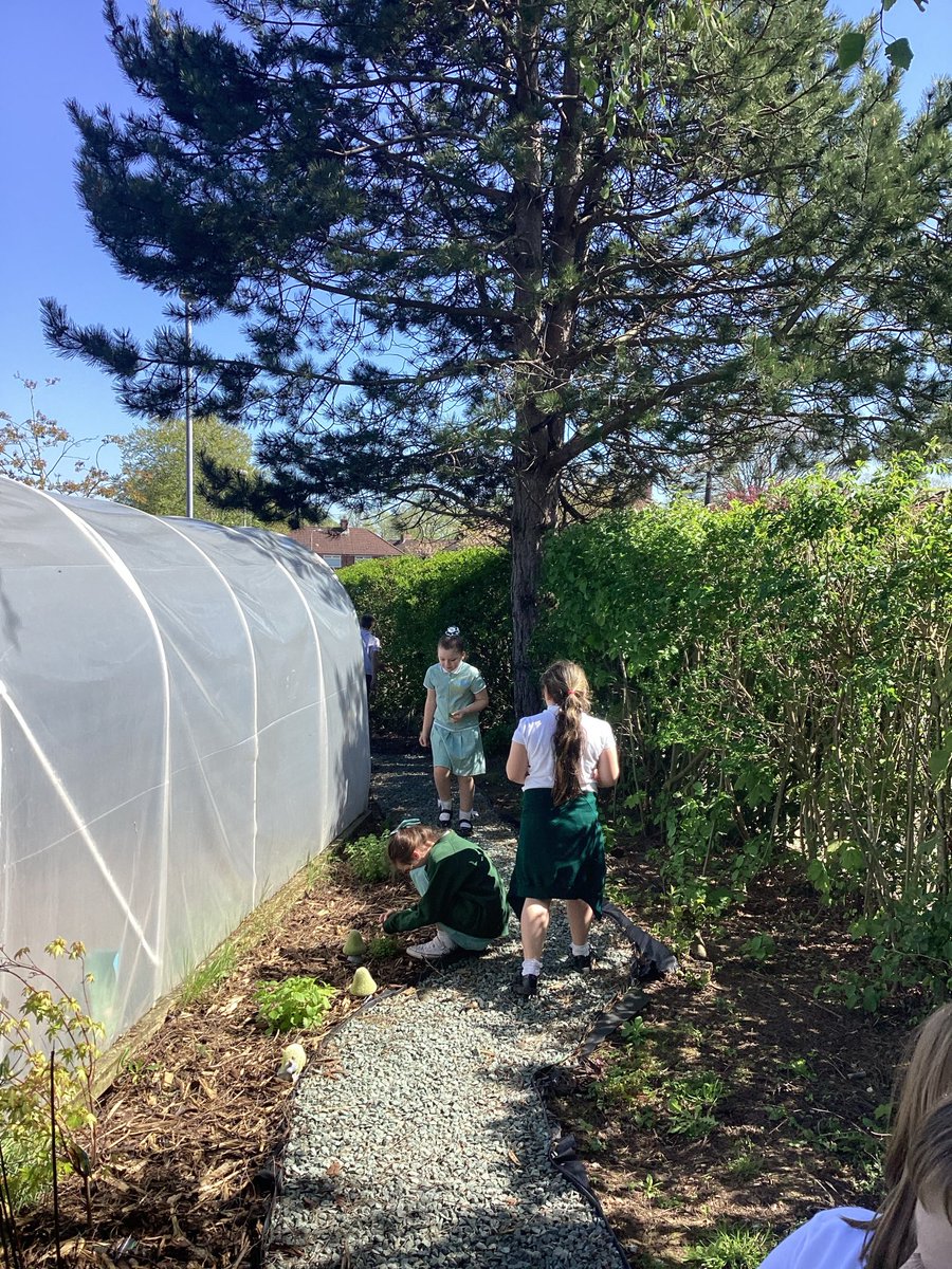 Wellesbourne Primary Year 4 tweet media