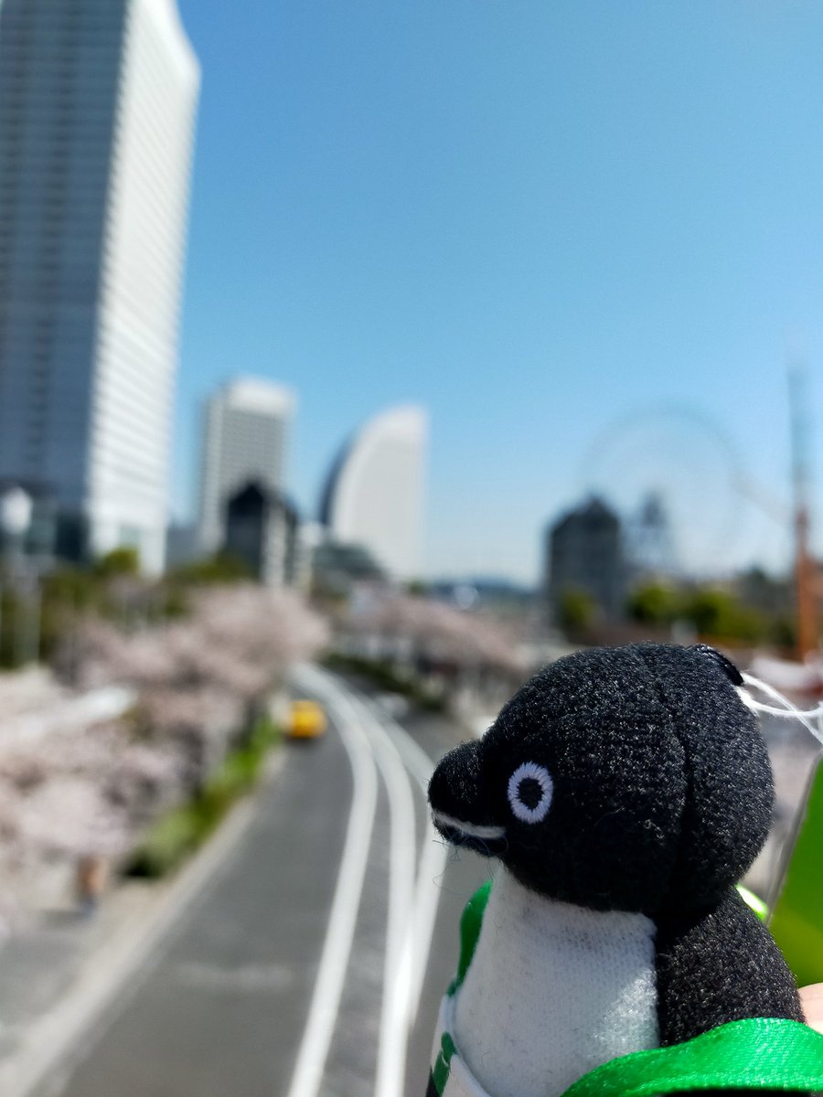 明日の桜木町ぬいは予定あってまず無理で、ラッキーバックの発売もあって、そもそもステッカー残るのかなぁ…。水兵さんたち欲しいなぁ