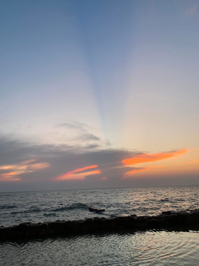 sunsetlover tweet media