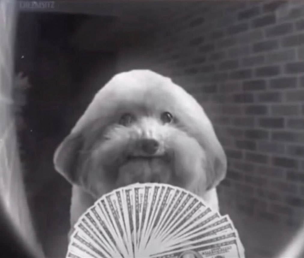 Pickup Truck Destroyer tweet media