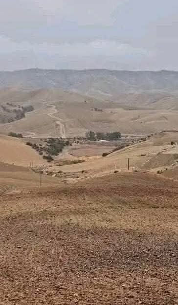 [ نَصٌ دافِئ ]

{وَمِنْ آيَاتِهِ أَنَّكَ تَرَى الْأَرْضَ خَاشِعَةً فَإِذَا أَنْزَلْنَا عَلَيْهَا الْمَاءَ اهْتَزَّتْ وَرَبَتْ ۚ إِنَّ الَّذِي أَحْيَاهَا لَمُحْيِي الْمَوْتَىٰ ۚ إِنَّهُ عَلَىٰ كُلِّ شَيْءٍ قَدِيرٌ} 

____________
#يخبرني_الصباح
#حروف_وقهوة
#رباب_الكلم