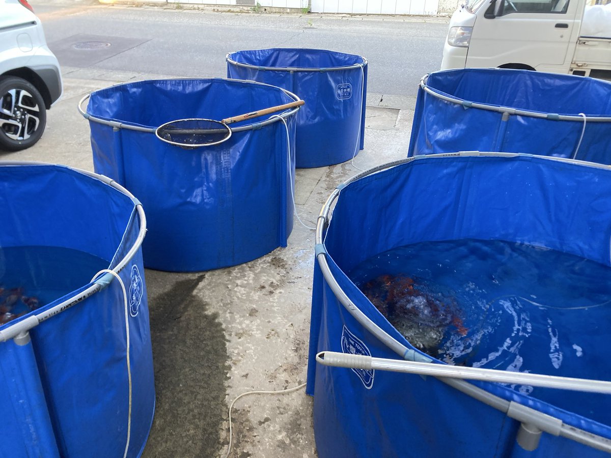 成澤養魚場 tweet media