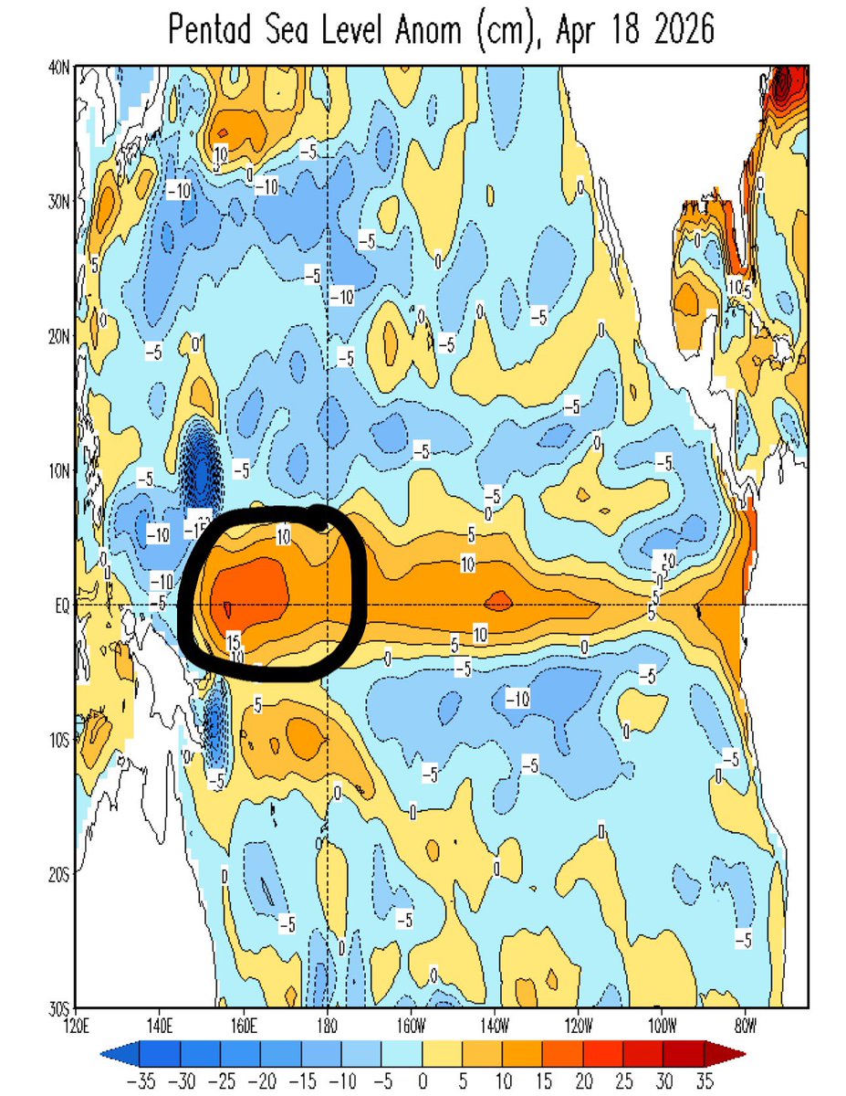 webberweather's tweet image. This year’s El Niño event is comparable to the 1997 Super El Niño so far.

Despite how strong the lead Kelvin Wave is in the East-Central Pac (+6C anoms!), a *much* bigger Kelvin Wave triggered by #Sinlaku &amp;amp; #Maila is right behind it in the West Pacific.

Very very massive yikes