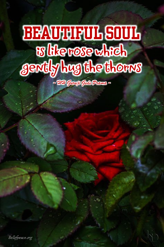 gede_prama's tweet image. Beautiful soul... #bali #love #peace #meditation #JoyTrain
bellofpeace.org
Photo courtesy: Pinterest