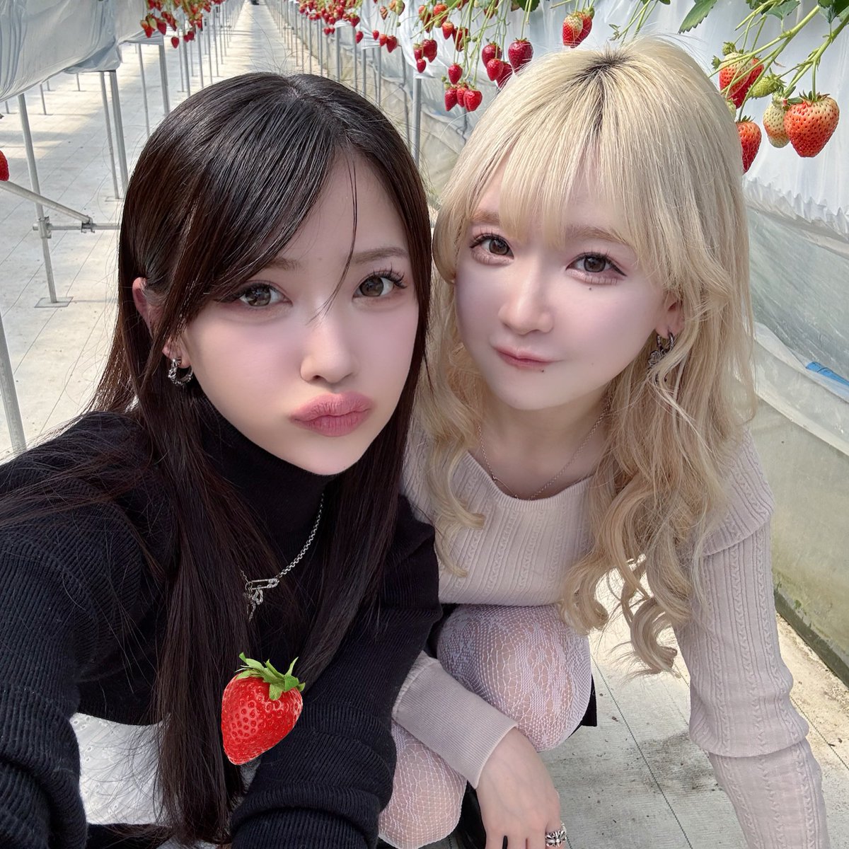 ReiRieRoom Only】 ムービー更新🆙🍓 【BehindTheScenes】REIRIE Live