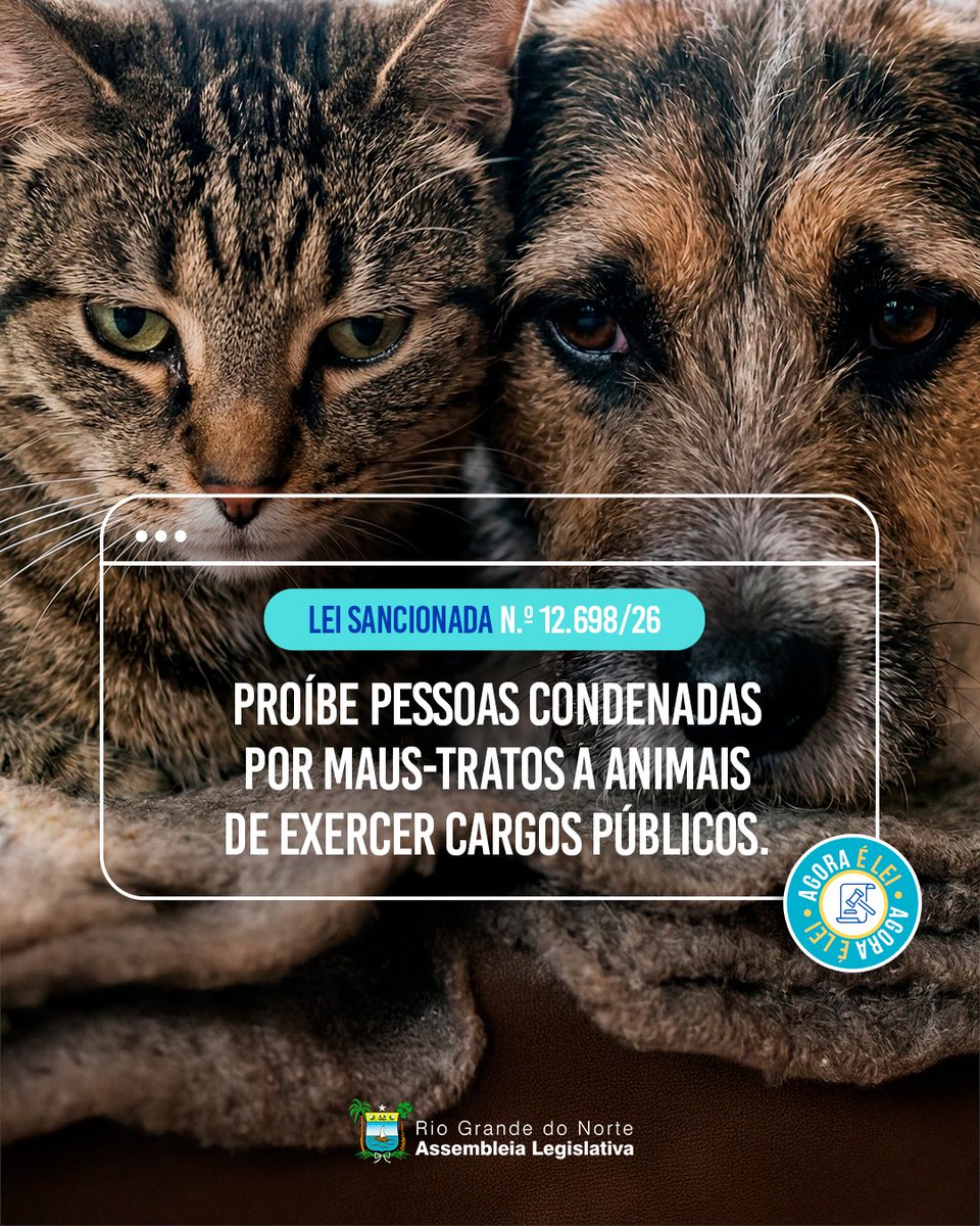 Assembleia do RN tweet media