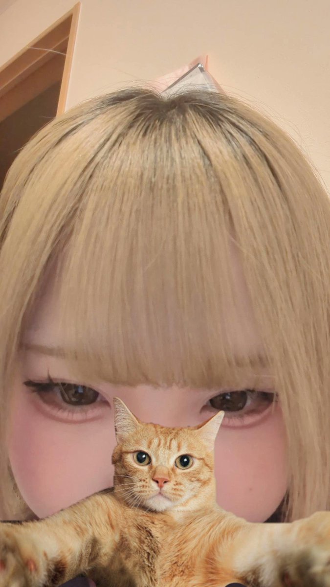 あや tweet media