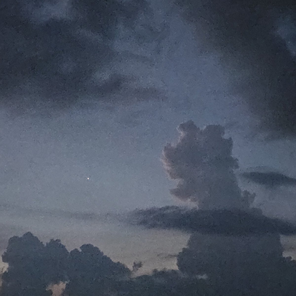 kasim yan tweet media