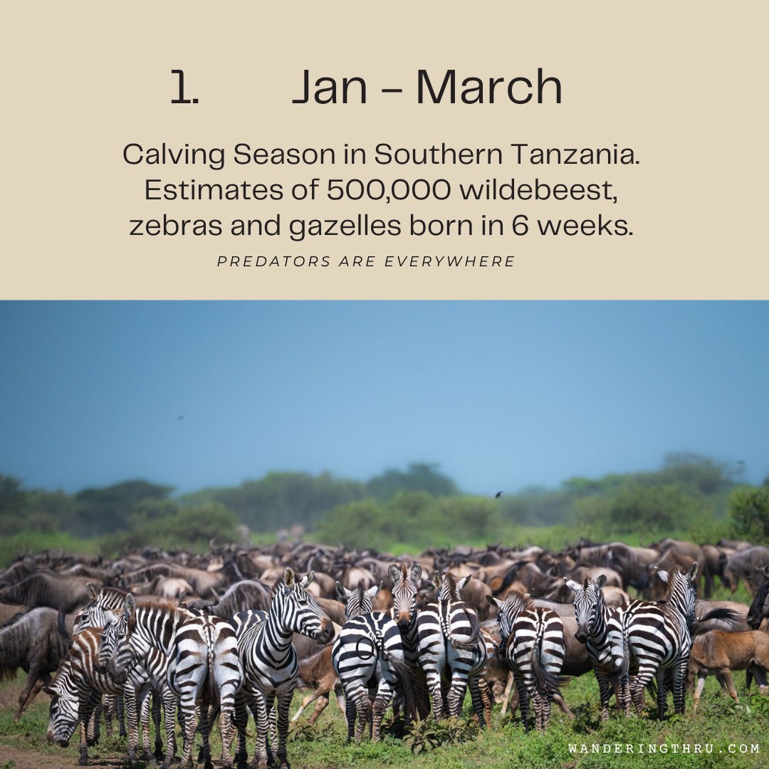 WanderingThru tweet media