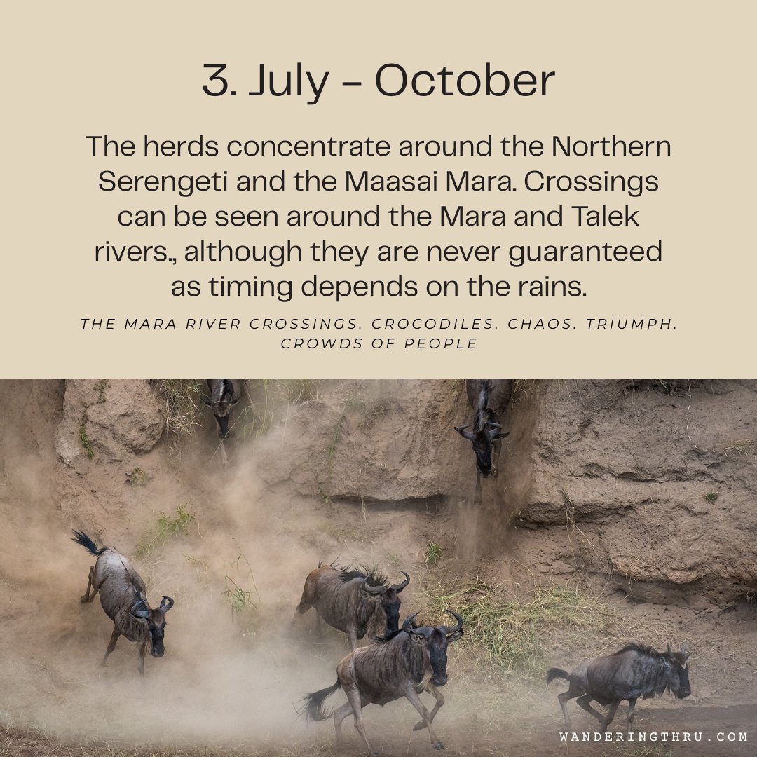 WanderingThru tweet media