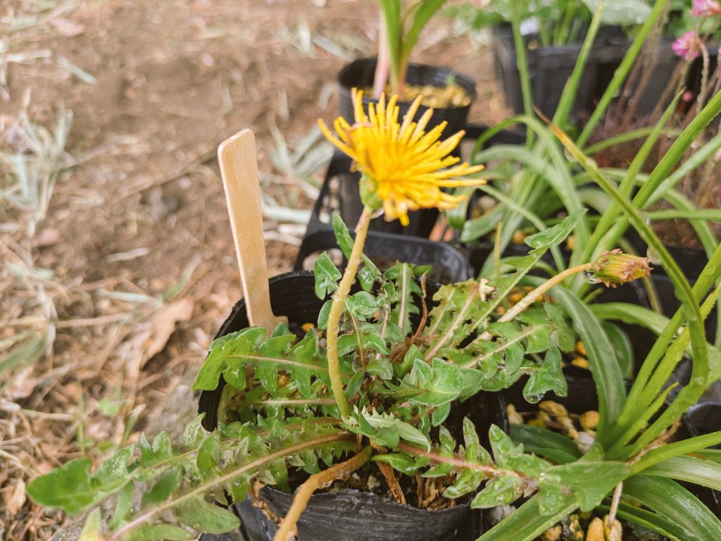 軽井沢の空 tweet media