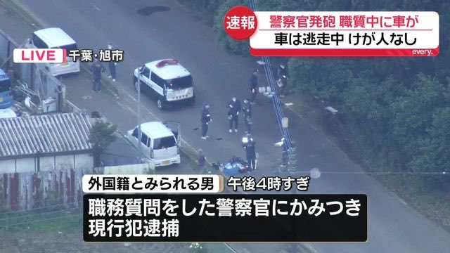 おはよ!まいぶらざー tweet media