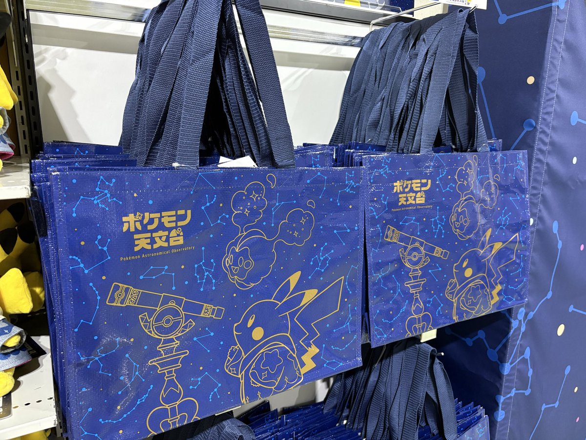 アリス tweet media