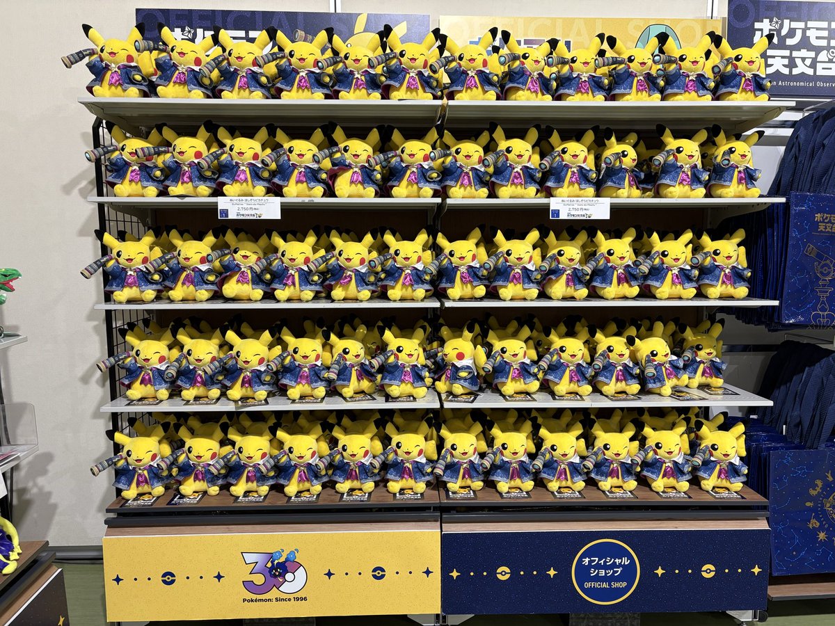 アリス tweet media