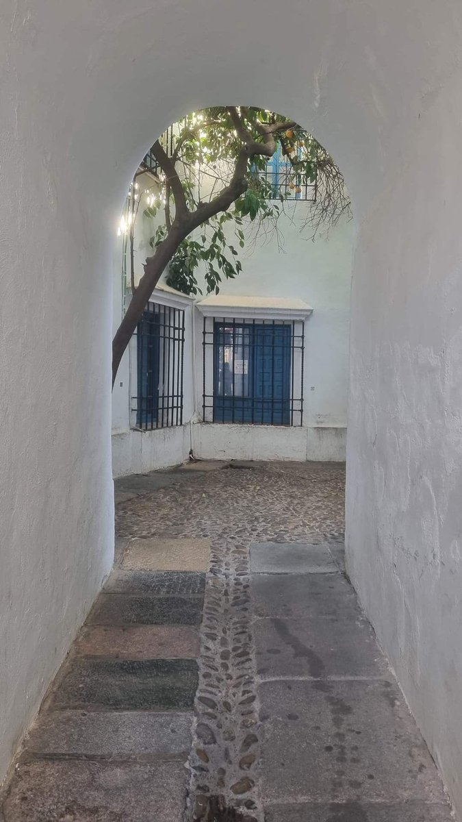 Córdoba is probably the city with the narrowest streets in the world.