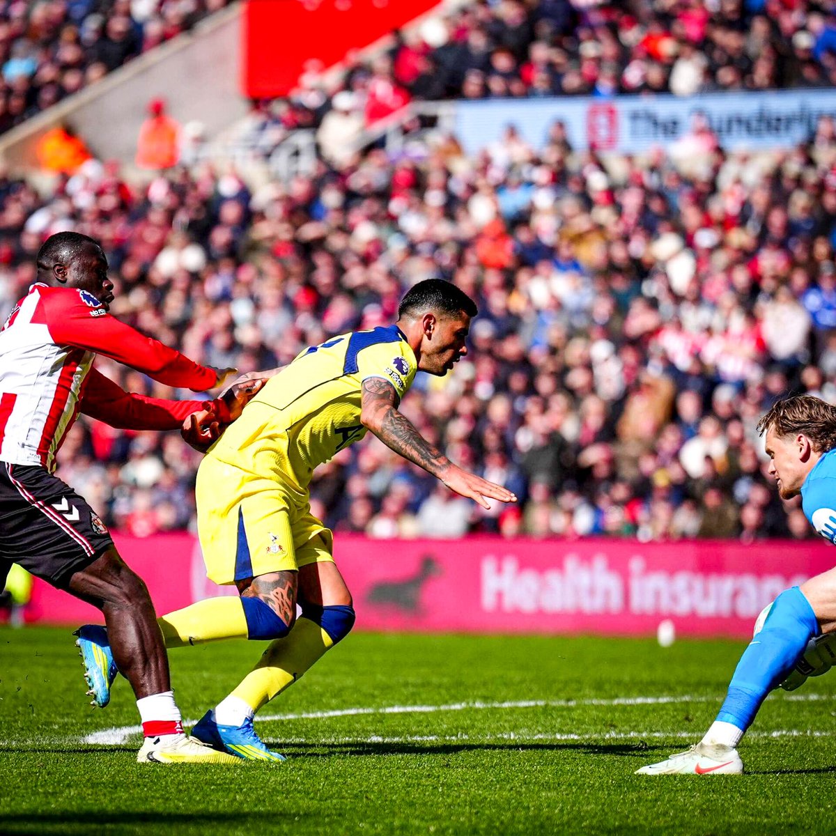 Spurs Army tweet media