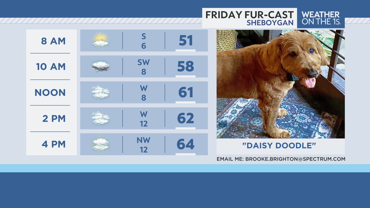 BrookeBrighton's tweet image. Our @SpectrumNews1WI #Furcast friend this Friday is "Daisy Doodle" from Sheboygan (thanks to Kathy and Bill Nelesen for sharing). If you have any pictures of your pet, feel free to share it with me for your chance to be featured on-air. 🐶🐱🐭🐰🐦 #pets