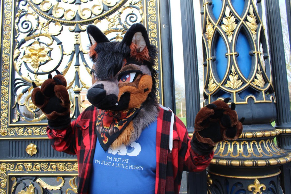 🔞 Dazzle 🔜 CFz tweet media