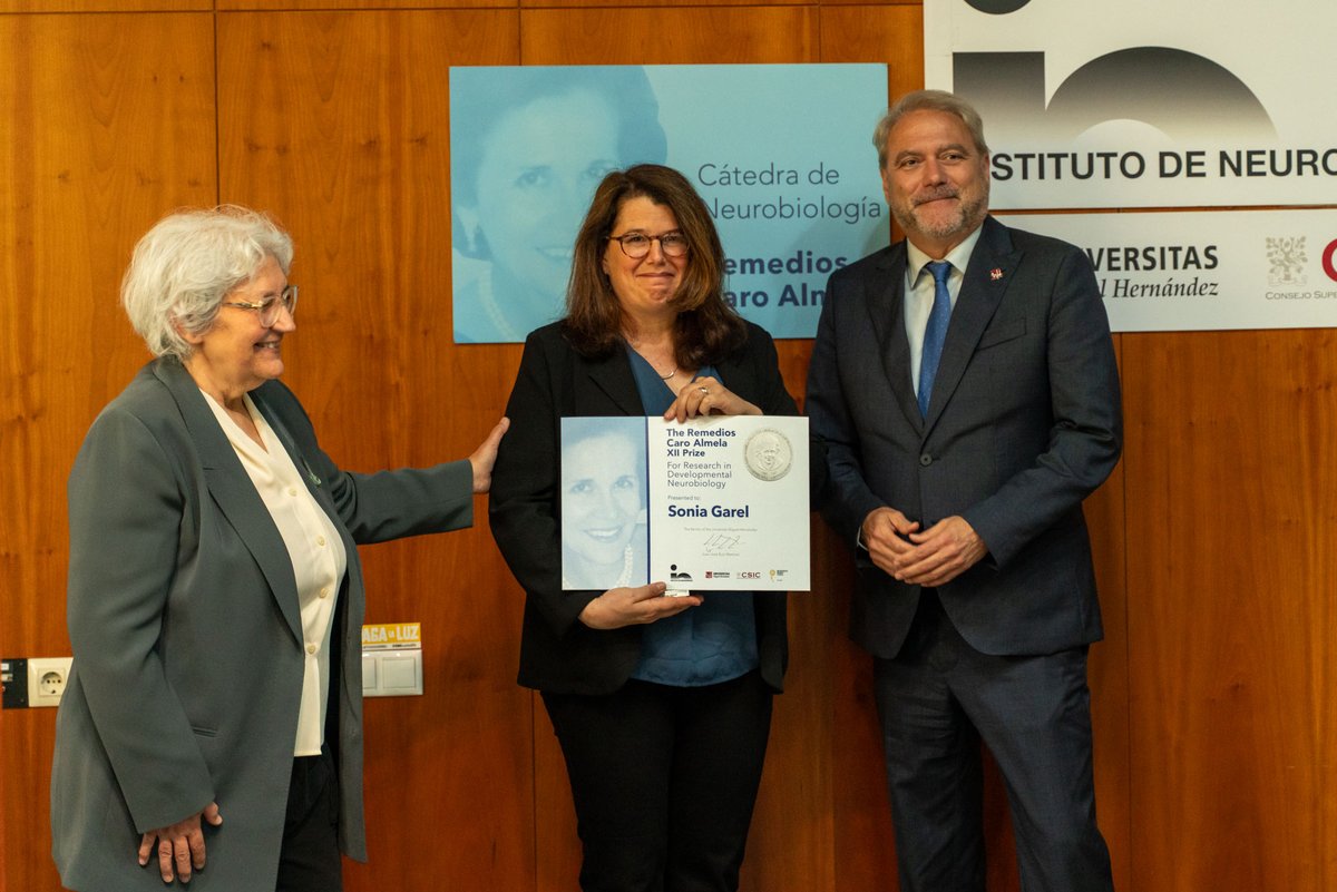 Instituto de Neurociencias UMH-CSIC tweet media