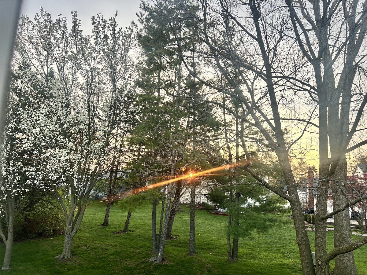 laurabagley4's tweet image. Let’s go #friday #detroit ☀️ 😊