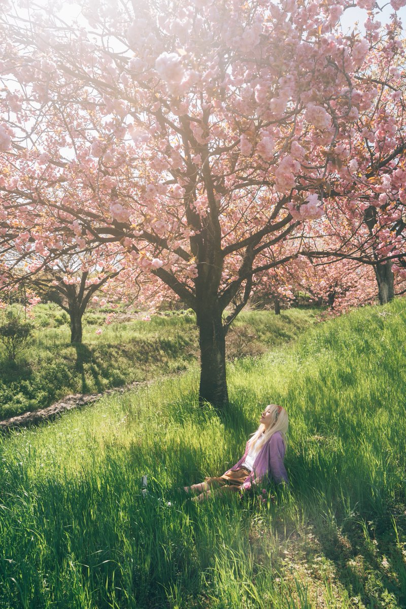 染谷ノエル/Noelle Someya tweet media