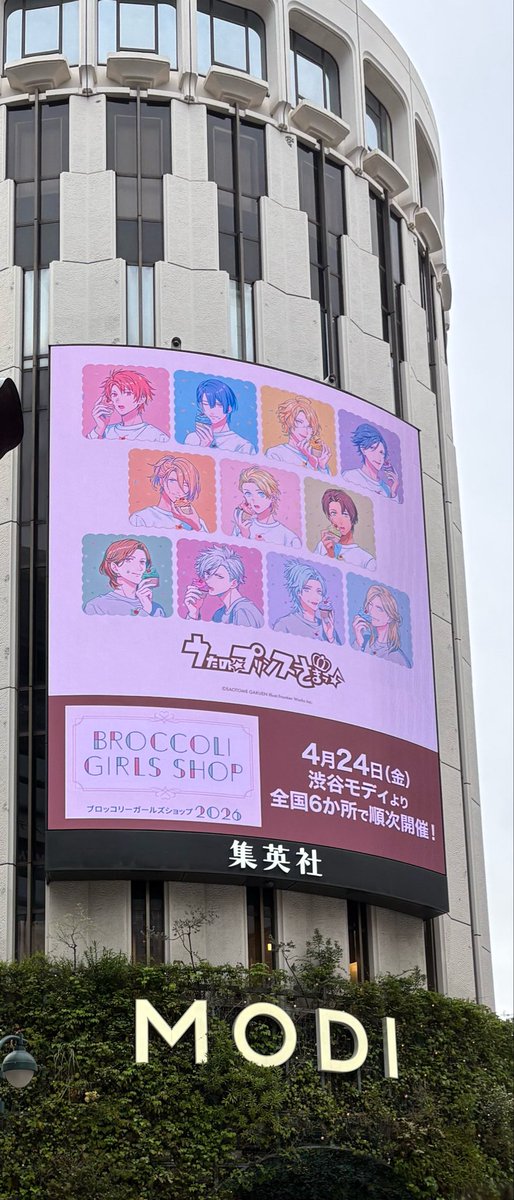 世羅💎♦️💙ASSHC 3/20.21参戦 tweet media